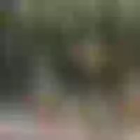 Live sex webcam photo for scarletvelvet #277826537