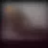 Live sex webcam photo for sexy_dtwin #276307360