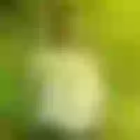 Live sex webcam photo for sexybunnies6 #277790134