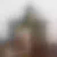 Live sex webcam photo for shirleyhh #275898531