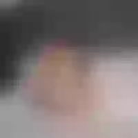 Live sex webcam photo for slavica__ #277279848