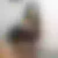 Live sex webcam photo for soy_tu_kitty #276777620