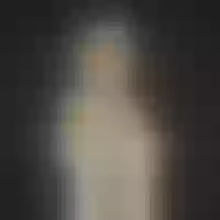 Live sex webcam photo for stormy_myller #277592577