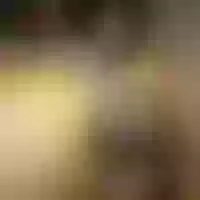 Live sex webcam photo for sweet_boobs4u