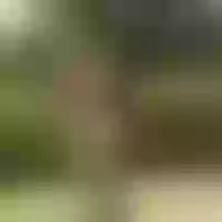 Live sex webcam photo for thekings_blackss #275911788