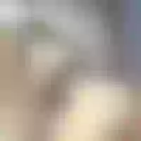Live sex webcam photo for twosweetffuckers #275906770