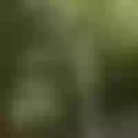 Live sex webcam photo for xiaoxiao1258 #277721037