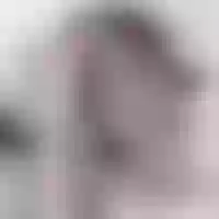 Live sex webcam photo for xinyao_bb